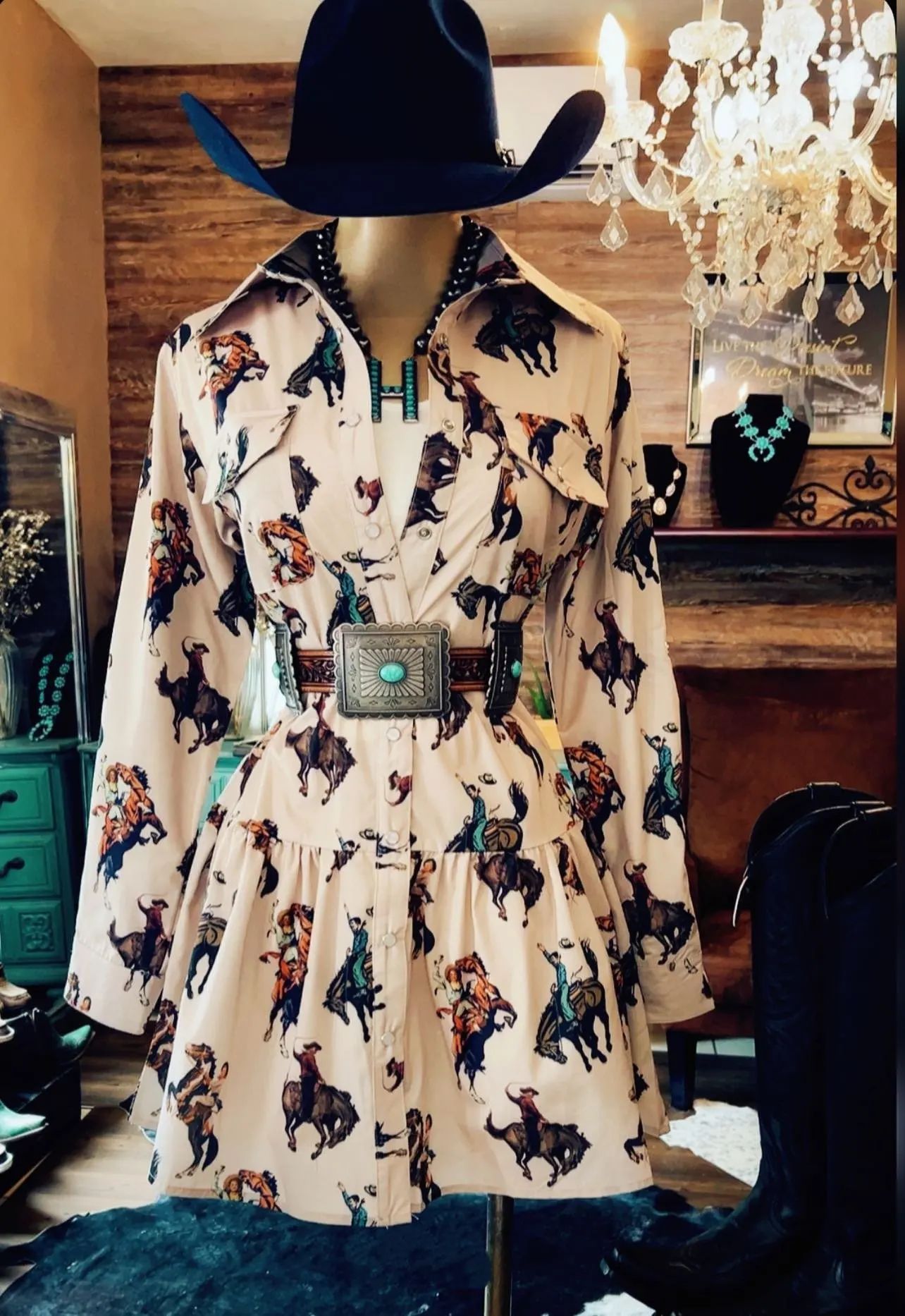 Western Cowboy-Style Printed Long-Sleeve Dress