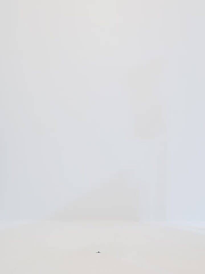 Limited Edition Italian Imported Yarn Fashionable Chanel Style Tweed Suit Jacket